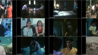 Bakat 2002 Full Movie By Seiko Films