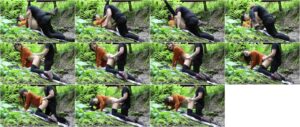 Tomboy Gumamit ng Toy Cock para sa Horny GF