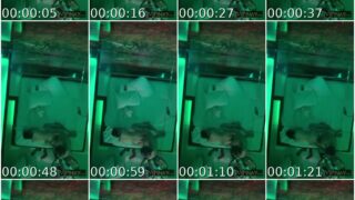 Jenn Rosa Of Vivamax (Vmx) Leaked Video Part 7